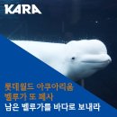벨루가