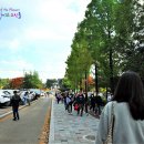 핑크정원