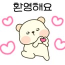 시흥탑애견미용학원