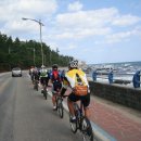 동해물회 이미지