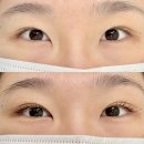 평택 통복 시장 속눈썹 펌 맛집 [ 피터패트 101 ] 방문 후기 자연스러운 컬 최고