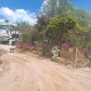 디와이팜 이미지