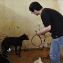 토우토우 (TOU TOU) 이미지