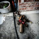 대전하기초등학교 | 꽉 막힌 속이 다 뚫리는 대전하수구 구원투수 등장