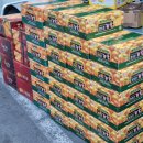 대왕청과 이미지