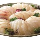광어야
