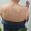 메종드홈 | 대용량 바디브 약산성 퍼퓸바디워시 메종드팰리스향 등드름 추천 후기