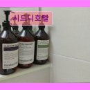 시드니펜션 | 제주도 애월 펜션 숙소 게하 시드니호텔 제주에서 애견과 함께하는 휴식처