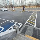 돈까스와 뼈다귀 이미지