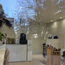 샤니미용실 이미지