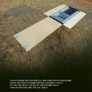 웰시스