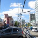 배산동물병원 이미지