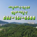 Y공인중개사사무소 이미지