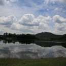 쑥부쟁이(용산저수지)둘레길 이미지