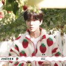 은혜유치원 | 사꾸가 최애형 누구 골랐을지 너무 궁금+위시콘 티켓팅 후기