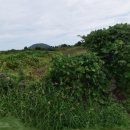 정은부동산공인중개사사무소 이미지