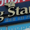 도그스타 금곡점 네이버블로그