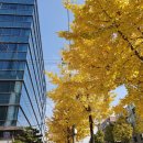 세림피부과의원 네이버블로그