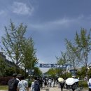 창천초교 | 졸업생꿀팁 주차 아카라카 가기전 읽어야할 모든것 후기 준비물 노천극장 연대 연세대축제 재학생...