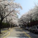 서구-11 이미지