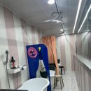 스윔버블 이미지