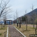 평지못(1) 이미지