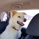 재송1동 주민센터 이미지