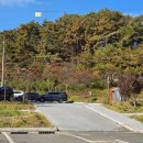 대곡리 암각화 | 강아지랑 산책하기 좋은 울산 반구대 암각화