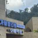 비발디 후문 | [임산부 왁싱] 당진 24주 임산부 왁싱 내돈내산 후기➿
