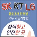 주식회사 삼성아이비