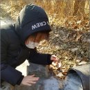 스스 이미지