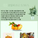프룻연 이미지