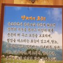 야당고을양고기통바베큐 네이버블로그