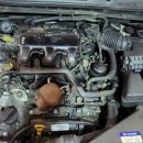 애니카랜드연동점 이미지