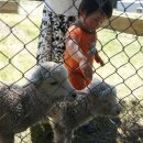 민우농장 이미지