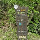 8월15일(목)전남 순천 조계산 도립공원 100대명산 남도삼백리 천년불심길 트레킹 예약 이미지