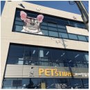 펫스티벌 이미지