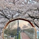 메드이븐 | 2024.04