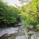 구천동1로 이미지