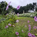 서악큰마을 이미지