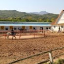 통도승마랜드 이미지