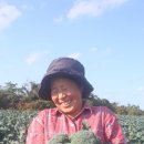 산지농장 이미지