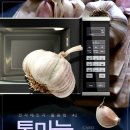 마능 이미지