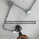 안버림연구소 이미지