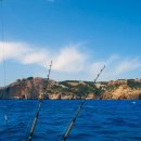 블루비치펜션 이미지