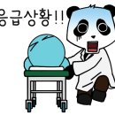 슈어스성형외과의원 이미지