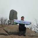 도전3리 마을회관 | [산길여행] 2026년 봄철 오르고함양 3회차 도전! 도숭산·월봉산 1일 2산 산행 후기