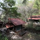 학가산우래자연휴양림 이미지