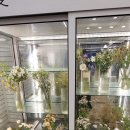 꽃안애 이미지