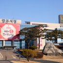 신산시장 이미지